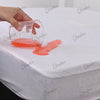 Terry Cotton Waterproof Mattress Protector In White Color With Zipper